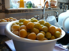 Picked Plums