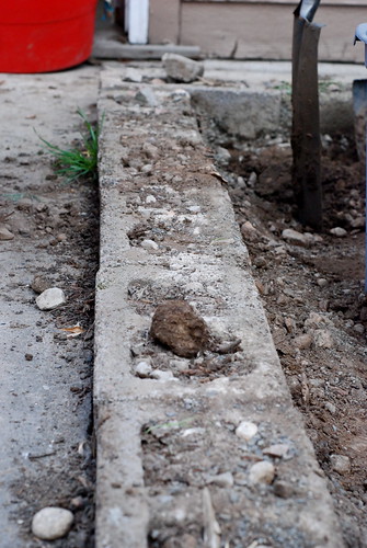 Cinder Blocks