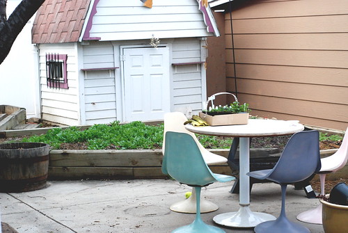 A nice raised bed in our new backyard. Nice rows of weeds.